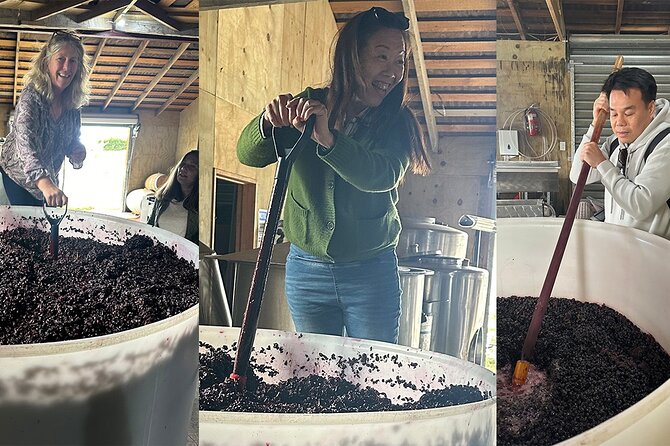 Chefs Private Martinborough Wine Tour with lunch from Wellington - Tiwaiwaka Winery: vineyard walk, meet the maker, and a 2024-vintage cheese moment