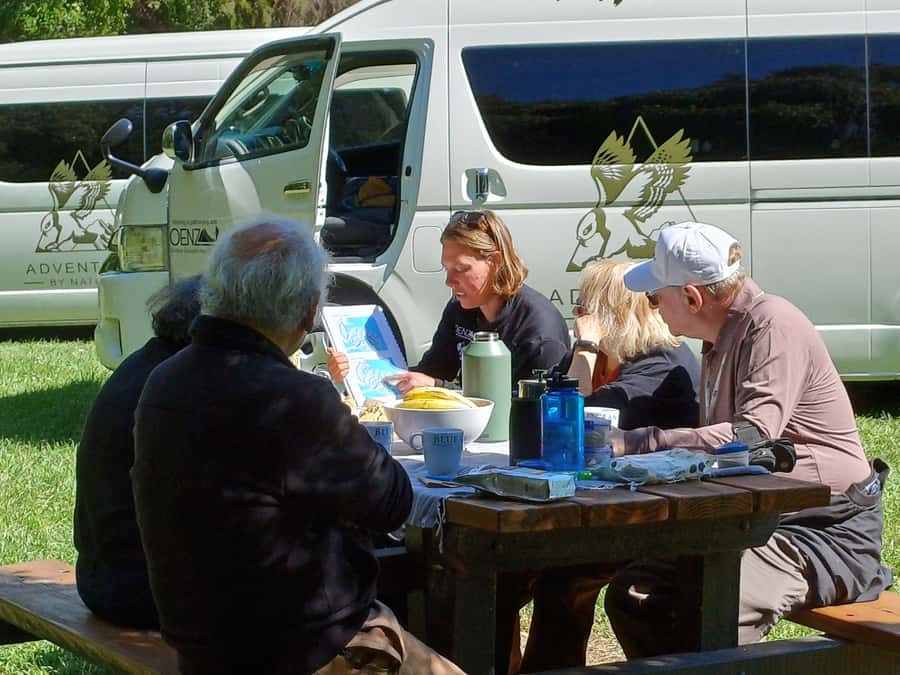 Christchurch: Akaroa and Banks Peninsula Day Trip - Key points to know before you go