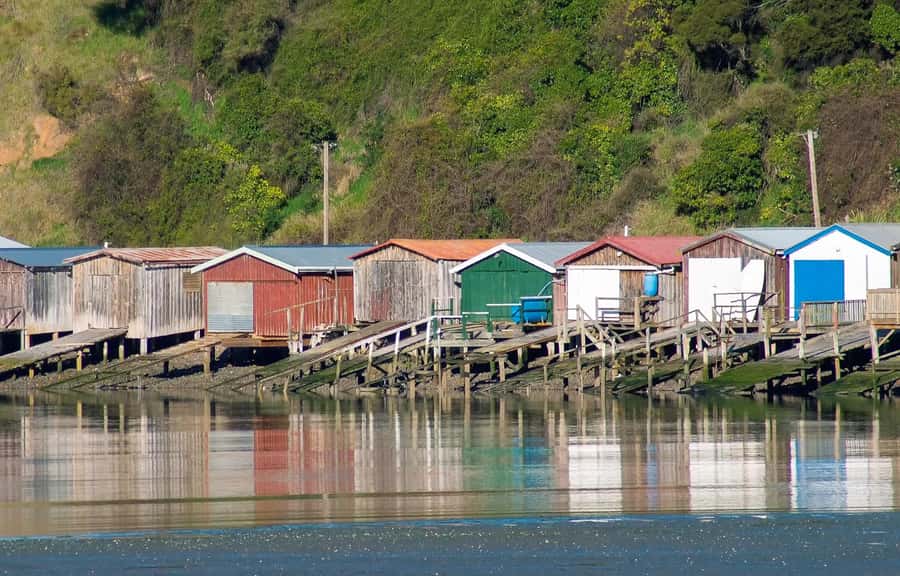 Christchurch: Akaroa and Banks Peninsula Day Trip - Who should book this Akaroa and Banks Peninsula day trip