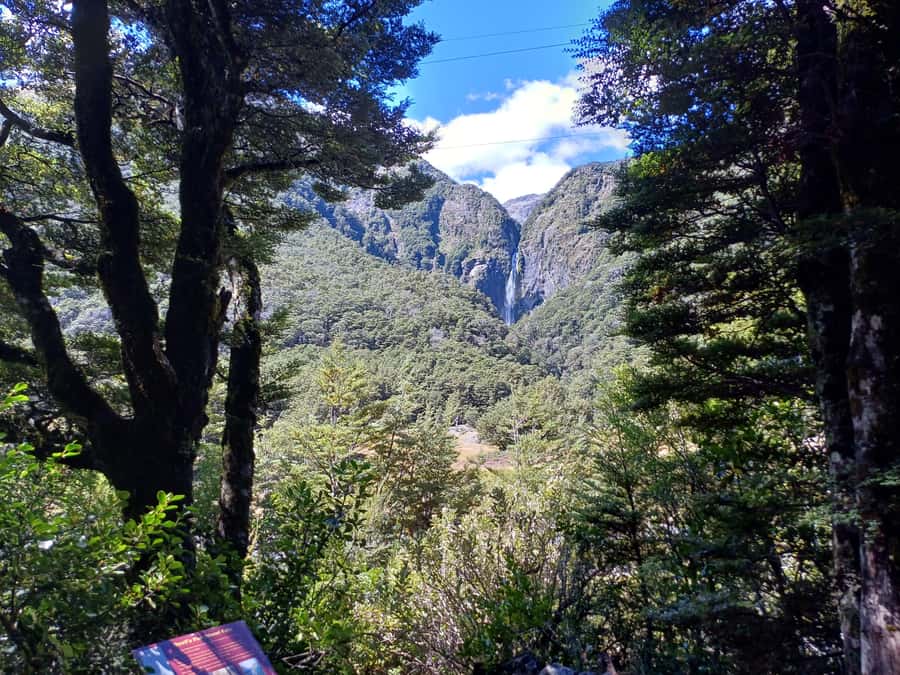 Christchurch: Arthur's Pass & Castle Hill Scenic Day Tour - Key highlights worth planning around