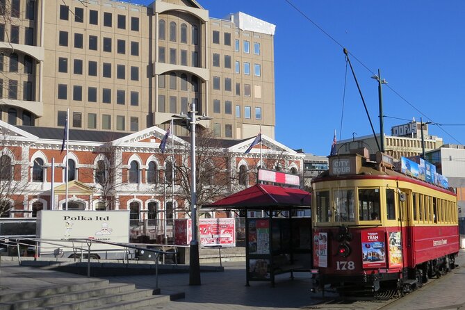 Christchurch City and Beaches Private Tesla Tour - Christchurch Cathedral and the Earthquake Reality