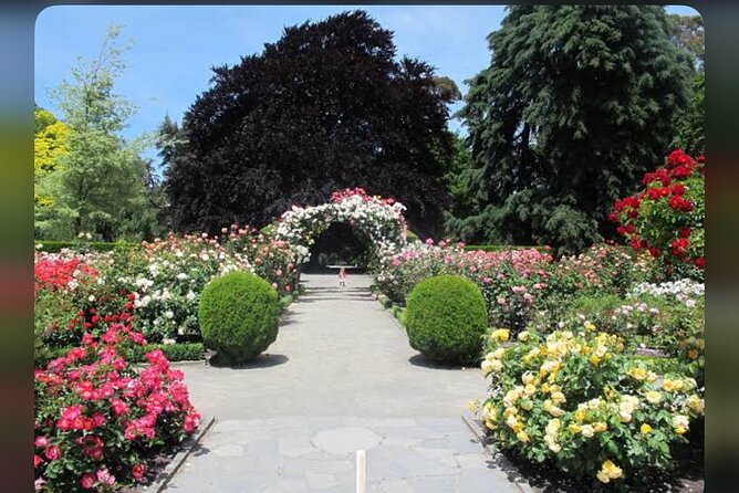 Christchurch City Full Day Private Tour - Christchurch Botanic Gardens: an easy reset with seasonal variety
