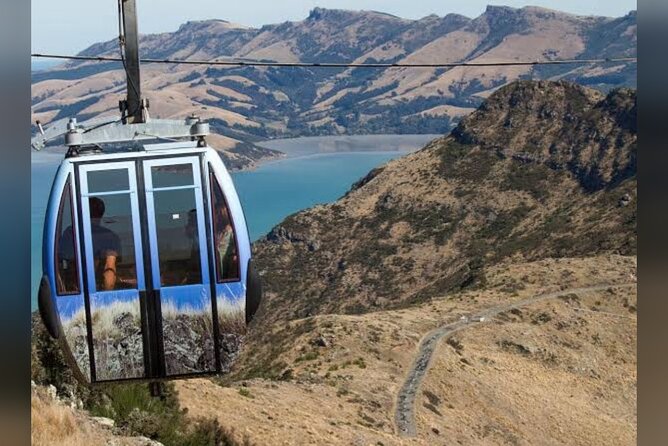 Christchurch City Full Day Private Tour - International Antarctic Centre: the 2-hour ticketed wildcard
