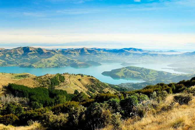 Christchurch City Highlights Half Day Tour - Willowbank Wildlife Reserve: Kiwi and Birds With Time to Wander