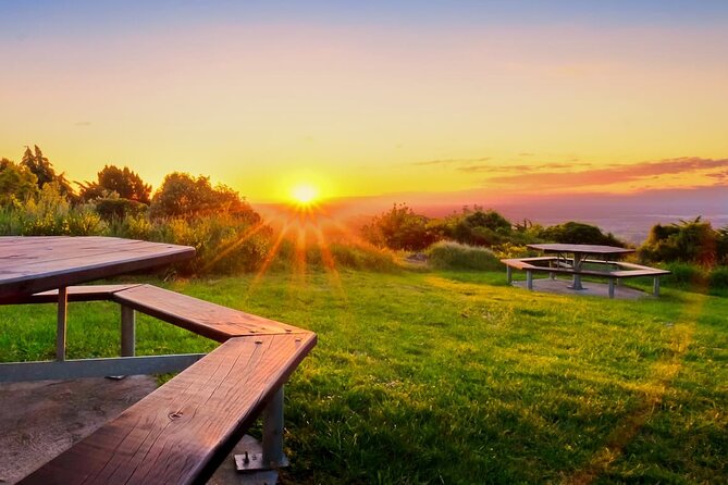 Christchurch City Highlights Half Day Tour - Price and Value: What You’re Paying For at $110
