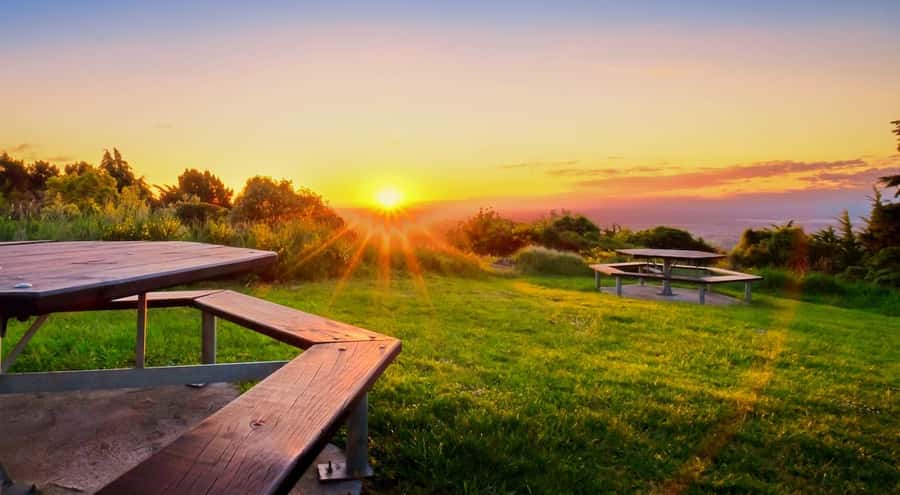 Christchurch City Highlights Half Day Tour - Who This Tour Suits Best in Christchurch