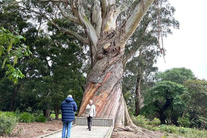 Christchurch City Top Sights Half Day Tour(Small Group Tour) - Christchurch Art Gallery and Te Puna o Waiwhetu style stop
