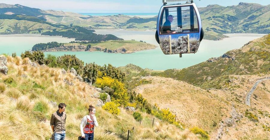 Christchurch Gondola and Tram City Tour Combo - Weather and comfort tips that make the day nicer