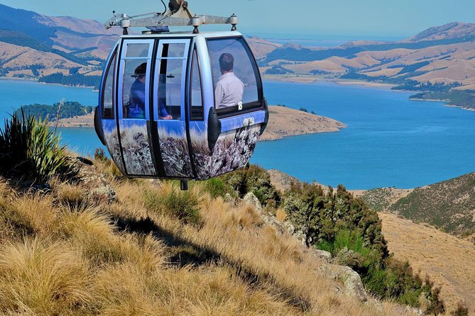 Christchurch Gondola Ride Ticket - Key things that make this ticket worth your time