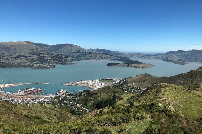 Christchurch Gondola Ride Ticket - Getting there from central Christchurch without stress