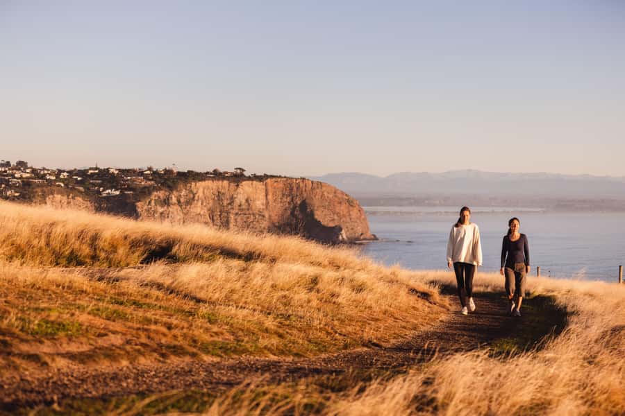 Christchurch: Guided Crater Rim Walk with Picnic - The hike itself: 8 km around the caldera, and how hard it feels