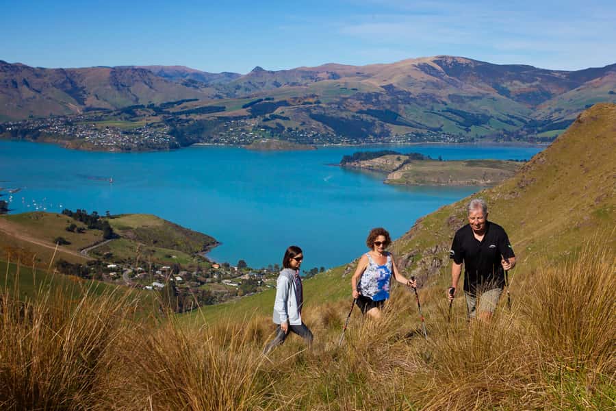 Christchurch: Guided Crater Rim Walk with Picnic - Picnic at Boulder Bay: why this lunch break is more than food