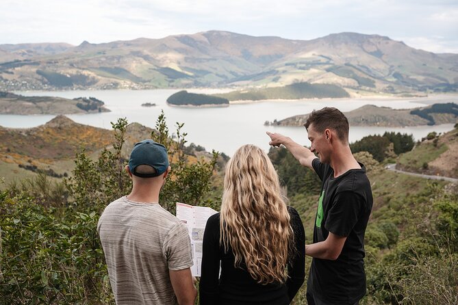 Christchurch Highlights Tour (Full Day Private) - Key highlights you will actually care about