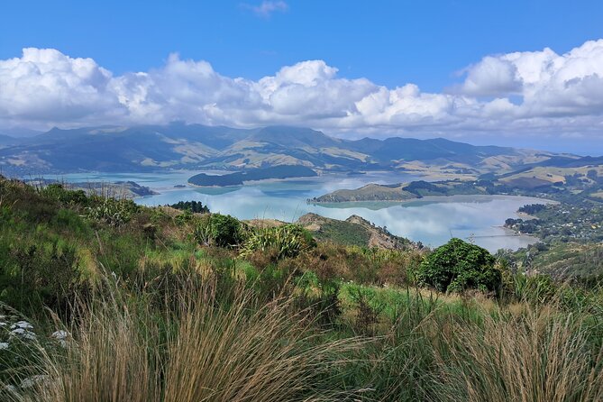 Christchurch Highlights Tour (Full Day Private) - A tight, private Christchurch day that starts with pickup