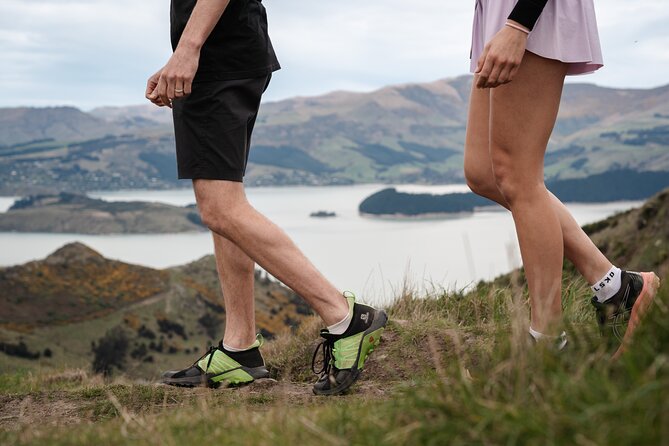 Christchurch Highlights Tour (Full Day Private) - Christchurch city orientation: walking or driving, with a real guide story