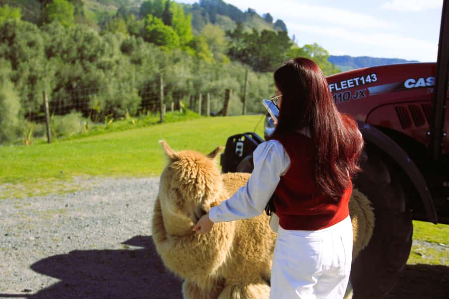 Christchurch: Lake Tekapo Stargazing & Mount Cook 2-Day Tour - Key things that make this tour worth your time