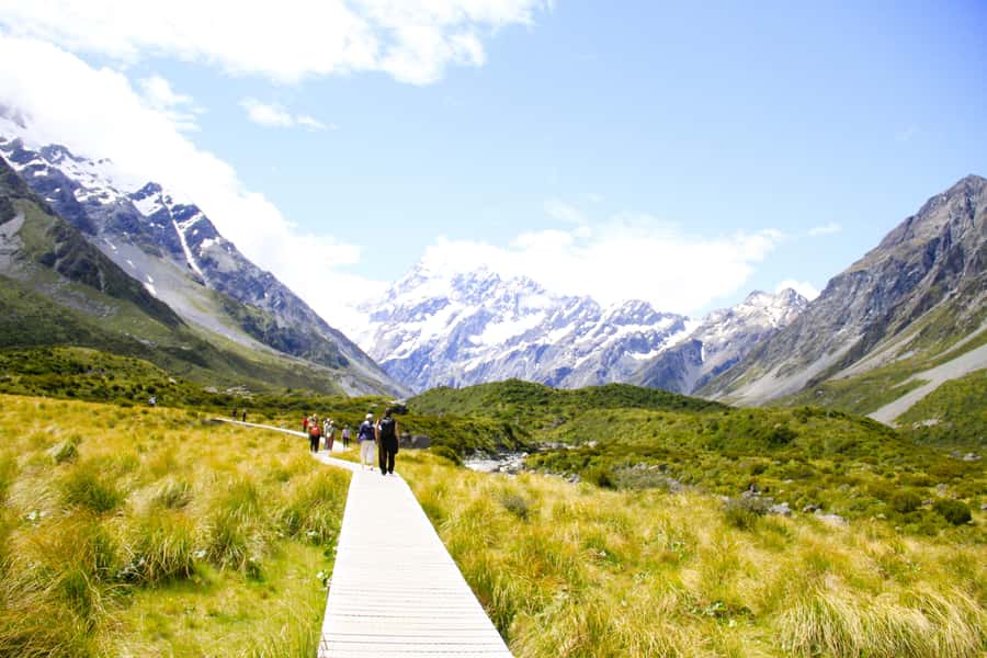 Christchurch: Lake Tekapo Stargazing & Mount Cook 2-Day Tour - Burkes Pass, alpaca feeding, and the Fairlie Bakehouse pie payoff