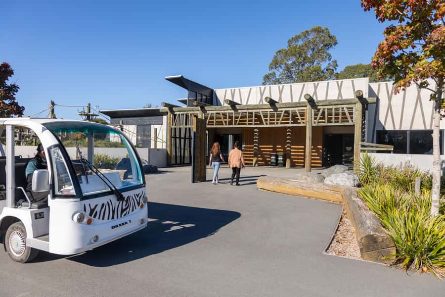 Christchurch: Orana Wildlife Park Admission - Café breaks, picnic areas, and how to recharge in the right places