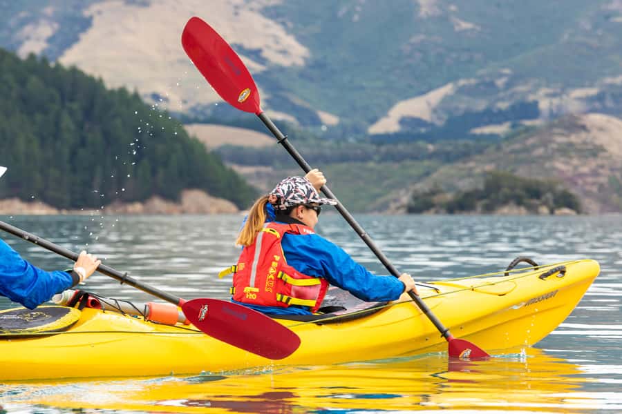 Christchurch: Sea Kayaking Tour of Lyttelton Harbour - Key Points You Should Know Before You Go