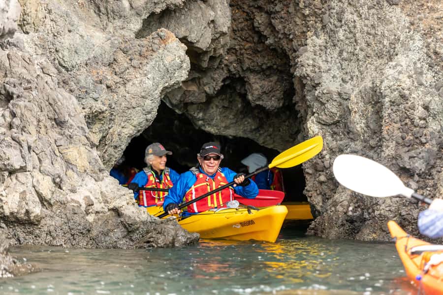 Christchurch: Sea Kayaking Tour of Lyttelton Harbour - Sea Kayak in Lyttelton Harbour, Whakaraupō, and Quail Island
