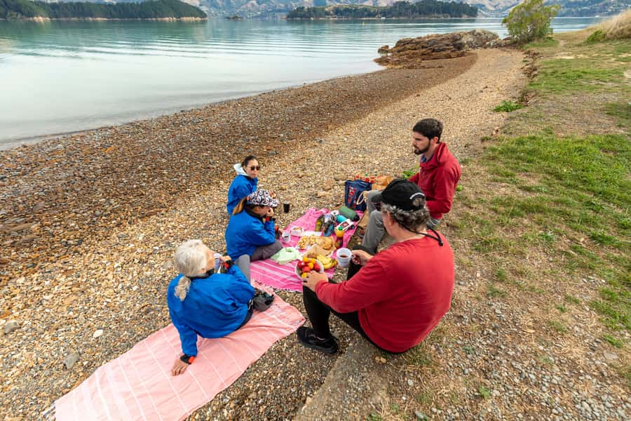 Christchurch: Sea Kayaking Tour of Lyttelton Harbour - Sea Caves and the Old Steamship Remains