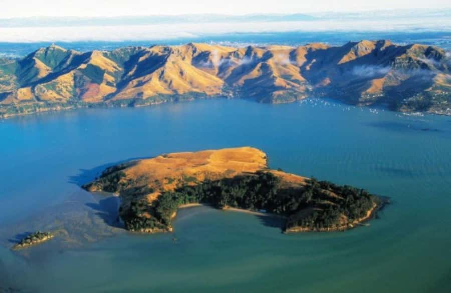 Christchurch: Sea Kayaking Tour of Lyttelton Harbour - Quail Island: History Lessons, Lunch, and Time to Explore