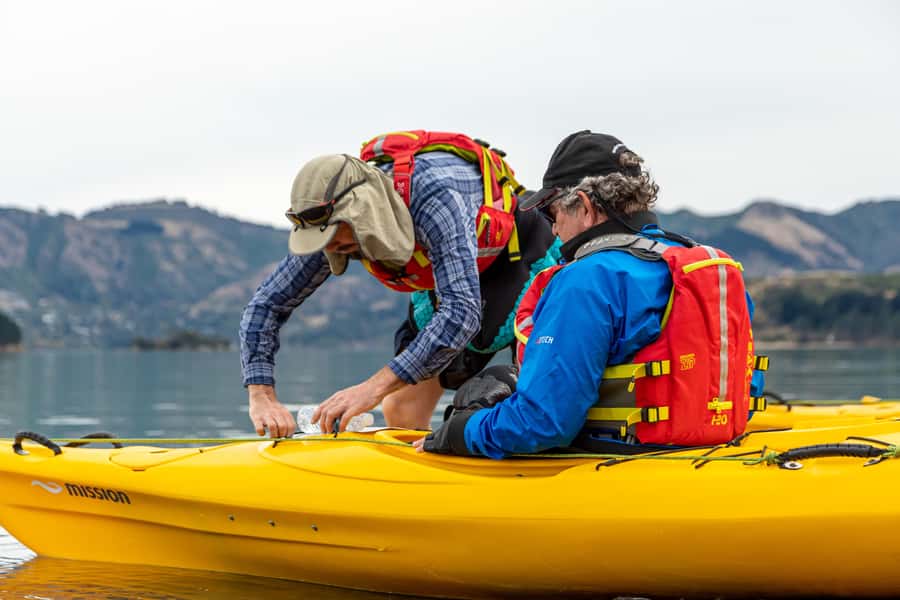 Christchurch: Sea Kayaking Tour of Lyttelton Harbour - Equipment, Transport, and Pacing: The Stuff That Makes or Breaks It
