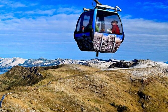 Christchurch Sightseeing Pass - Should you book the Christchurch Sightseeing Pass?