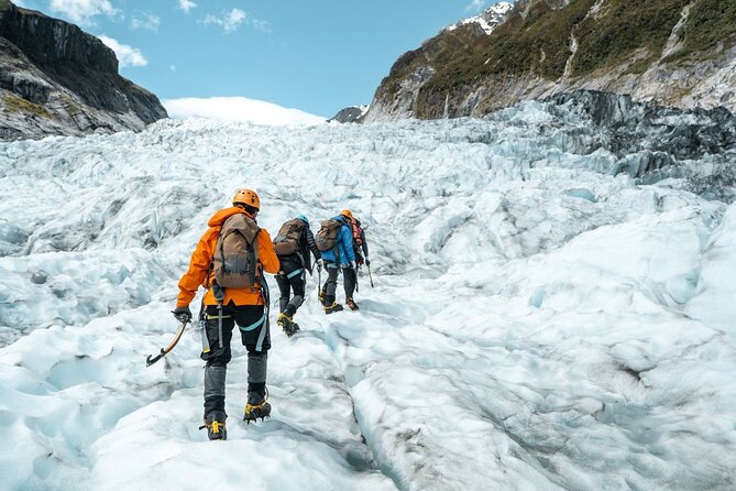 Christchurch to Franz Josef One Way Day Tour with TranzAlpine - Key highlights you’ll care about