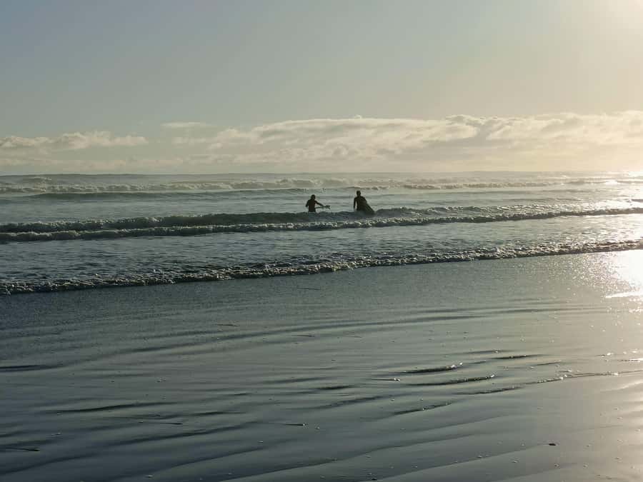 “City & Coast & Country” – A Relaxed Day Tour from Auckland - Key things to notice before you go