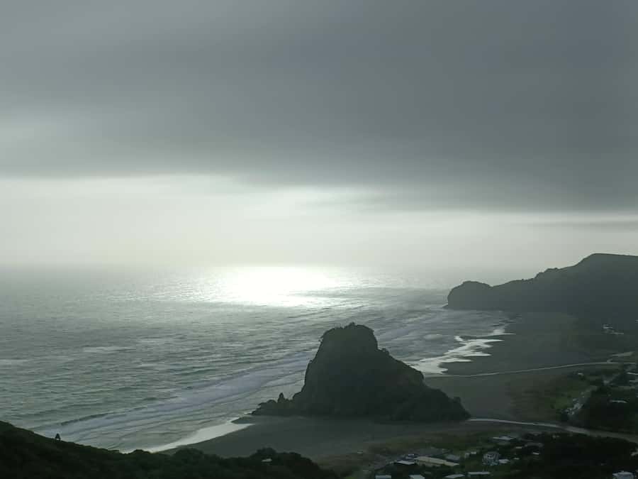 “City & Coast & Country” – A Relaxed Day Tour from Auckland - Piha Beach and the power of the Tasman Sea