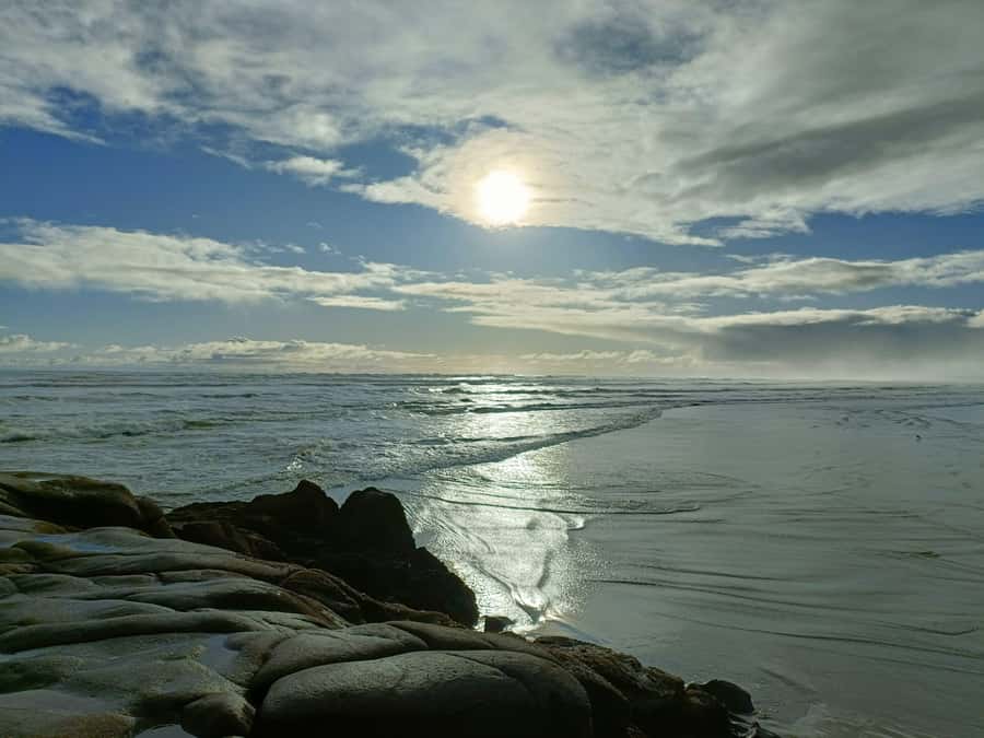 “City & Coast & Country” – A Relaxed Day Tour from Auckland - Muriwai Gannet Colony and volcanic black-sand views