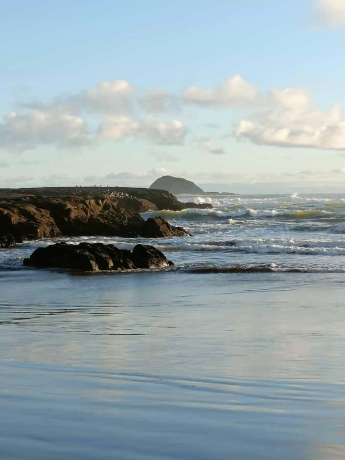 “City & Coast & Country” – A Relaxed Day Tour from Auckland - Kumeu wine country time, plus a lunch break you control