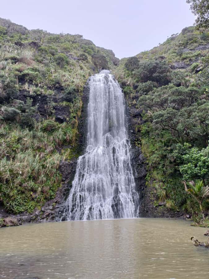 “City & Coast & Country” – A Relaxed Day Tour from Auckland - Pickup in Auckland CBD, then straight into real scenery