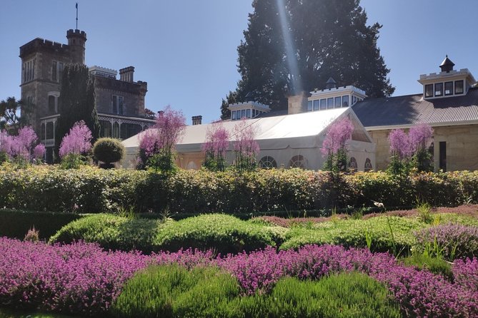 City Highlights, Larnach Castle & Peninsula Views - Key reasons to book this Dunedin highlights tour