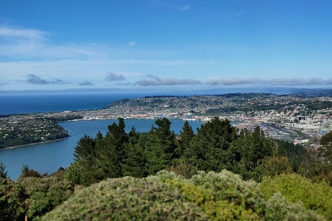 City Highlights, Larnach Castle & Peninsula Views - Edwardian landmarks: University of Otago and Dunedin Railway Station