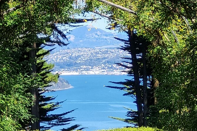 City Highlights, Larnach Castle & Peninsula Views - Baldwin Street to Signal Hill, the photo stops that set the tone