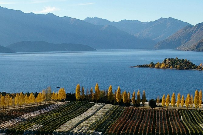 Classic Wanaka Wine Tour - Pickup handled in Wanaka, so the day starts calmly