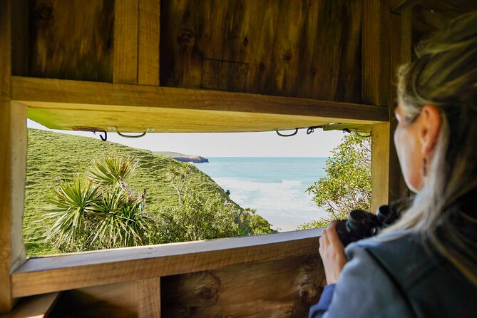 Clearwater Private Penguin & Wildlife Tour from Port Otago (5hrs) - Cape Saunders viewing: fur seal pups and sea birds with the Pacific in the background
