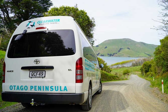 Clearwater Private Penguin & Wildlife Tour from Port Otago (5hrs) - The Dunedin Railway Station photo stop that actually makes sense