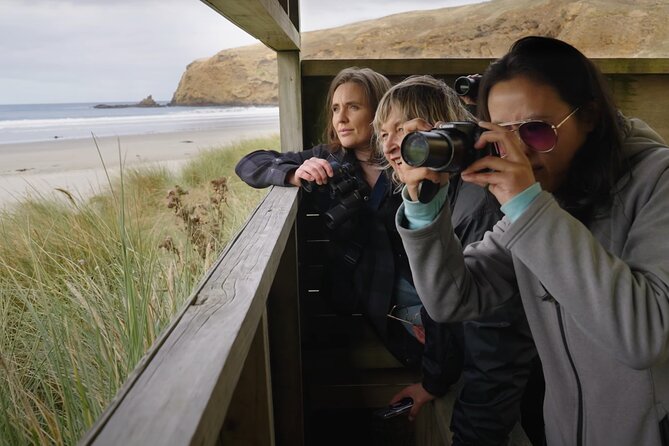 Clearwater Wildlife Tours (small group 10max) Otago Peninsula - Binoculars, Jackets, and the Weather Prep That Actually Works