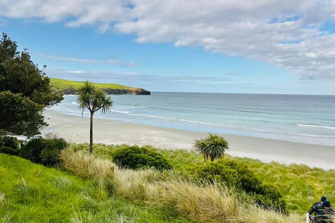 Clearwater Wildlife Tours (small group 10max) Otago Peninsula - Should You Book Clearwater Wildlife Tours on the Otago Peninsula?
