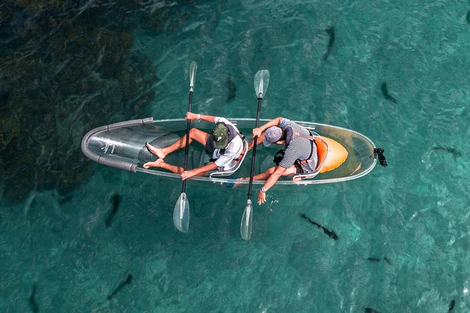 Clearyak hire at Goat Island Marine Reserve - Key points to know before you book