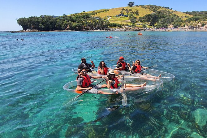 Clearyak hire at Goat Island Marine Reserve - What you actually see while kayaking: snapper, stingrays, and close-up habitat