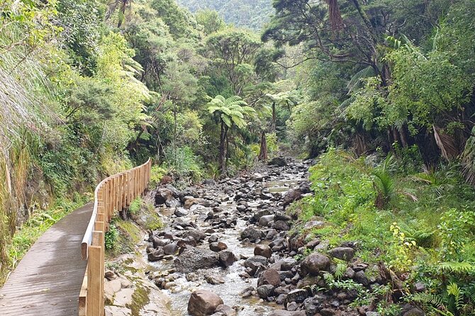 Coast and Rainforest Eco-Tour from Auckland with Picnic Lunch - Arataki Visitor Centre: sea views plus Maori carvings with context