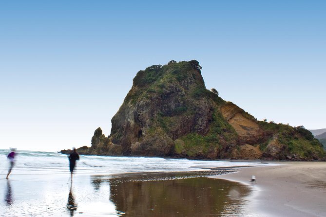 Coast and Rainforest Eco-Tour from Auckland with Picnic Lunch - Guides, pace, and why the small group size matters
