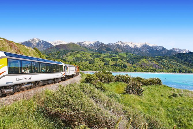Coastal Pacific Train Journey from Christchurch to Picton - Watching for fur seals, dolphins, and birdlife along the Pacific