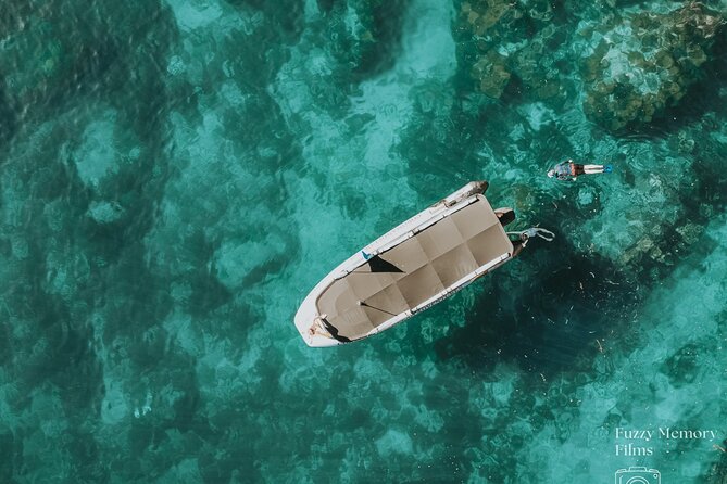 Coromandel Adventure and Wildlife Boat Tour to Aldermen Islands - Quick hits you can bank on