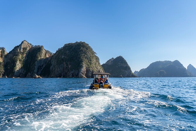Coromandel Adventure and Wildlife Boat Tour to Aldermen Islands - Snorkeling when the season and conditions cooperate