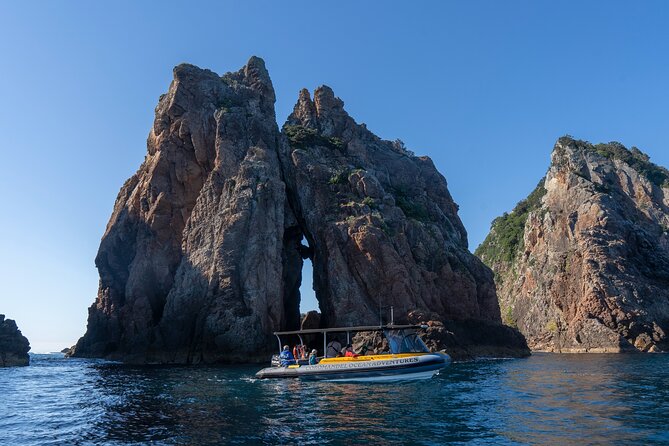 Coromandel Adventure and Wildlife Boat Tour to Aldermen Islands - Price and value: what $102.39 gets you in real terms